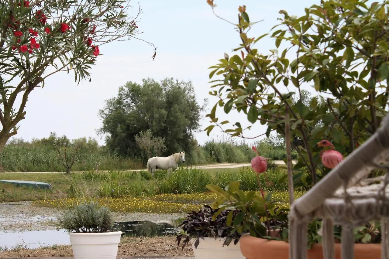 Mas Fandelou Bed and Breakfast Saintes-Maries-de-la-Mer