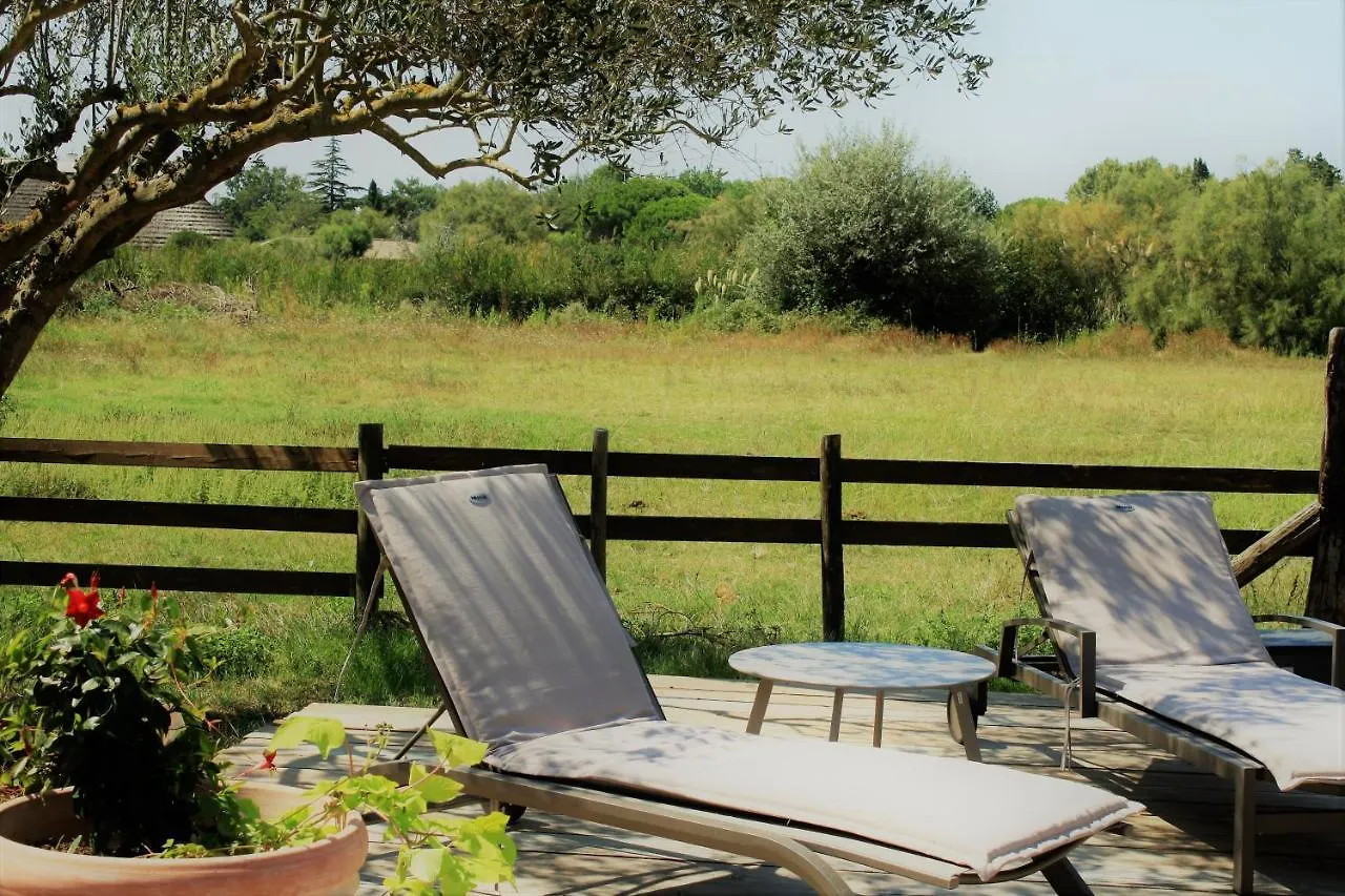 Mas Fandelou Bed & Breakfast Saintes-Maries-de-la-Mer France
