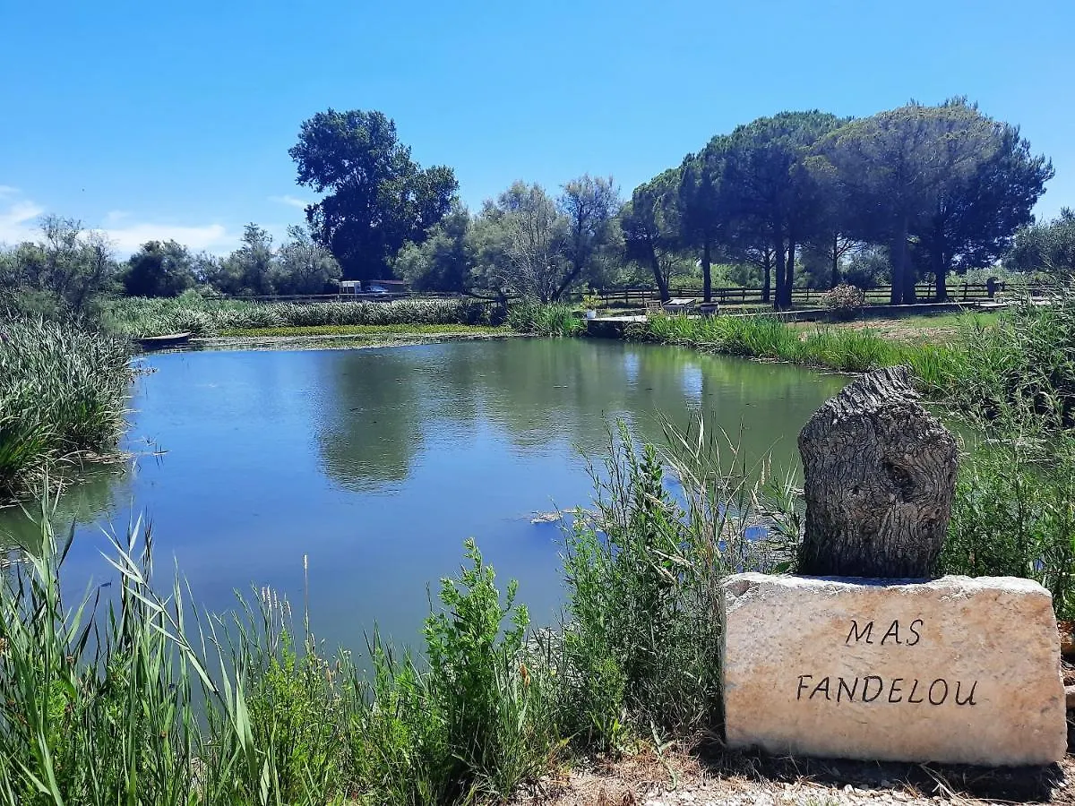 Mas Fandelou Bed & Breakfast Saintes-Maries-de-la-Mer France