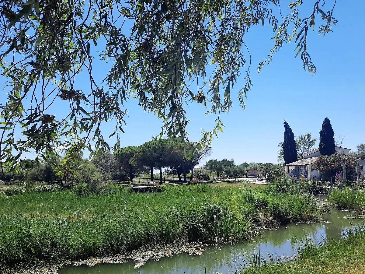 Mas Fandelou Bed & Breakfast Saintes-Maries-de-la-Mer